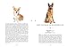 Naturelove. 50 besondere Hunde: Vom Beagle bis zum Zwergspitz. Ein Buch wird zum Kunstwerk