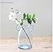 Noah Decoration Double Ear Hand-Blown and Handmade Transparent Flower and Filler Bubble Glass for Home and Wedding Indoor and Outdoor Decoration 10 inch Tall Size Medium…