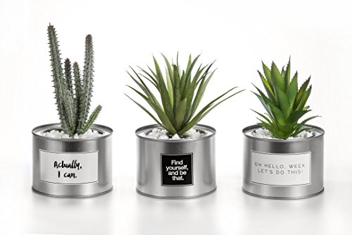 Opps Mini Artificial Plants Plastic Green Grass...
