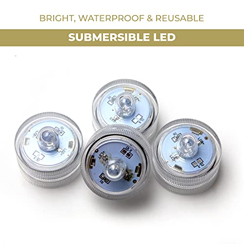 Lumabase Submersible Battery Operated Led Lights, Blue - Set Of 12 #TOP4
