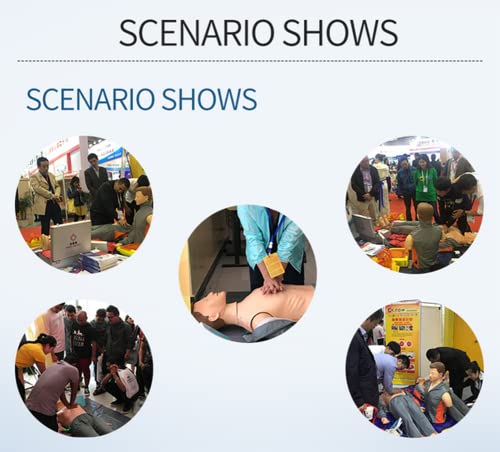 Wfzy Full Body Cpr Manikin Adult Training Manikin Kit For Doctor Nursing Training Medical Teaching #TOP5