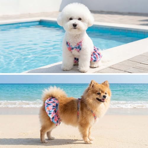 Image of CuteBone Dog Bikini Dress, Stylish Swimsuit Costume for Small Dogs, Comfortable & Adjustable Puppy Bathing Suit, Soft Outfit Pet Apparel for Beach, Pool and Summer Fun DB43M
