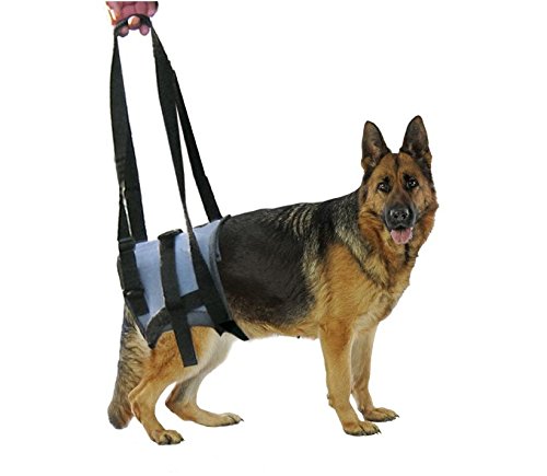 ARNES REHABILITACION Handy Canis Trasero Talla S 1UD GENIA