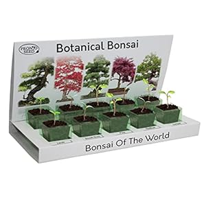 Pronto Seed Grow Your Own Bonsai Tree Kit Indoor Plant at Home Eco Grow Kit , 5 Seed Varieties with Eco Friendly…