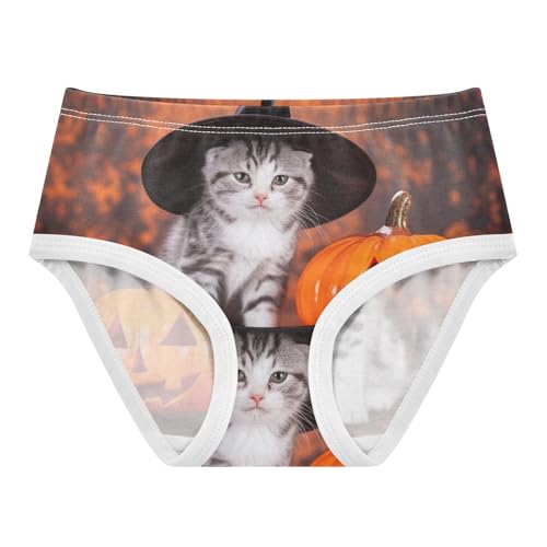 Animals Girls Underwear Toddler 2t Cotton Panties Little Girl Halloween Cat Pumpkin Briefs Girls Undies