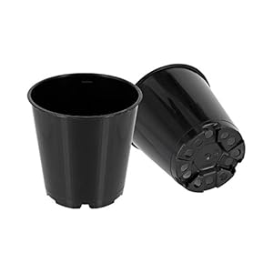 GREEN24 Anzuchttöpfe 6cm, 50 Stück