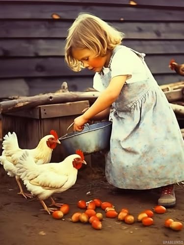 Farm Chicken Diamond Painting Kits