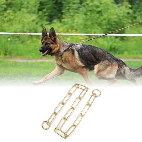 Joyzan Hundehalsband für Hunde, Hundehalsbänder, Kauversuch, Gold, Halbstrobe aus Metall, strapazierfähig, klein, mittelgroß, Training, Füße, Sicherheitskontrolle