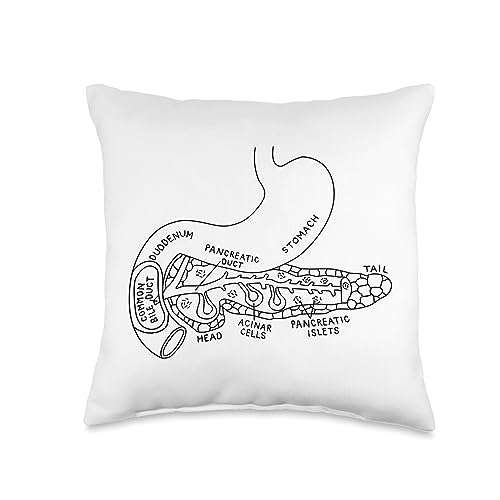 Pancreas Anatomy Pancreatic Pancreatitis Endocrinologist Throw Pillow
