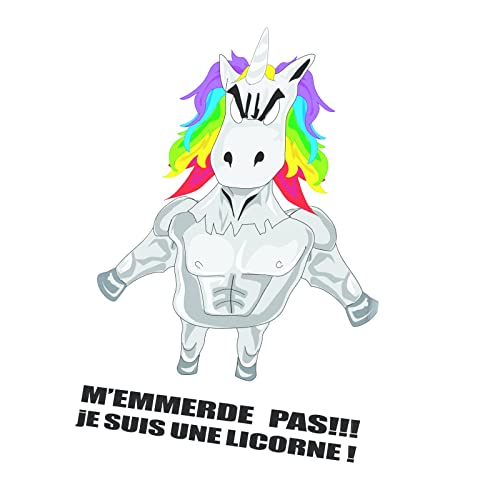 Tableau licorne méchante cadeau insolite rigolo pour ami et collègue