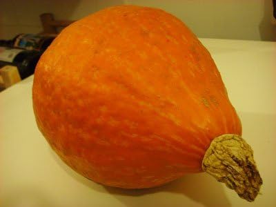 10 Heirloom Golden Hubbard Squash seeds
