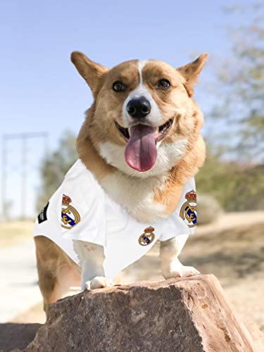 Real Madrid Jersey For Dogs & Cats Football Fan Jerseys, Bright Team Colors, Size: Large #TOP2