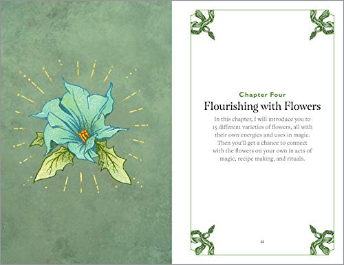 Green Witchcraft: A Practical Guide to Discovering the Magic of Plants, Herbs, Crystals, and Beyond - Image 8