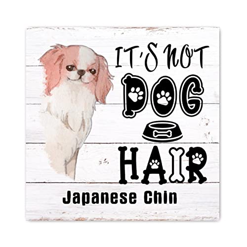 Panneau mural en bois It's Not Dog Hair de 30x30 cm pour salon