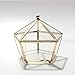 MINGZE Geometrico terrario, Vintage Moderno in Vetro Trasparente con Piede Piccolo Jewel-Boxed pentagonale in Vetro Display Piante succulente fioriera Moss Fern con Coperchio Basculante (Oro Rame)