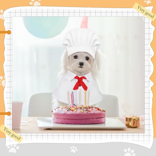 Disfraz Chef para Perro Pequeño Abbylike miniatura 5