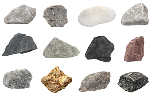 Image of EISCO 12 Piece Introduction to Metamorphic Rocks Kit - Includes 1 inch Specimens - Great for Geology Classrooms & Basic Field Testing Labs - Tech Cut Rocks