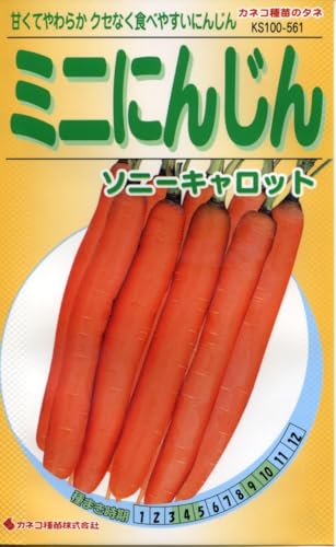 JlRc |E KS100V[Y ~jɂ񂶂 \j[Lbg 100 561