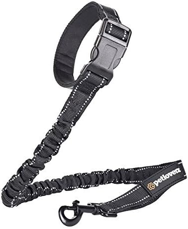 Petloverz Elastic Flexible Dog Lead with 2 Handles, Back Absorber Bungee Lead, Jogging Lead with Reflectors Nylon, Black