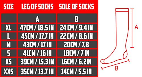 American Fencing Gear Fencing Socks - Set Of 2 Pairs Of Comfortable Socks For Fencing Sport (Foil, Epee, Sabre) - 100% Cotton (Large) #TOP4
