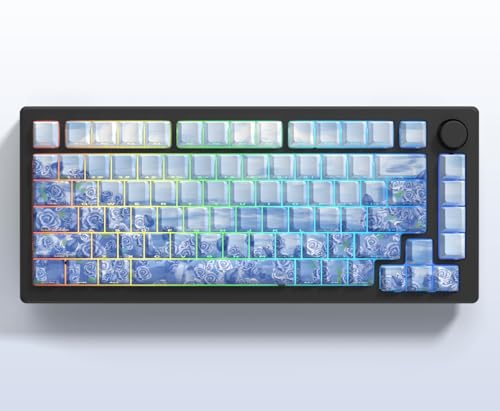 Image of dagaladoo Blue Keyboard keycaps,Double Shot PBT keycaps | Shine Through Keycaps dye-sub,Side Print,Cherry Profile keycaps for Mechanical Keyboard 60% /65% /75% /TKL /96% /100%
