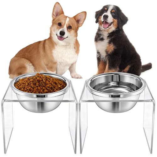Ziliny 2 Set Acrylic Elevated Dog Bowls Stand 6.3 Tall Pet Acrylic Feeder Come with 2 Removable Stainless Steel Bowls for Large Dogs Raised Durable Dog Bowl Pet Feeding Station
