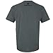 Smith & Wesson Charcoal Heather SW Logo T-shirt (Large)