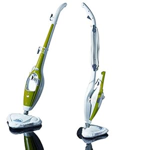 Aqua Laser ® Gold 2-in-1 stoomreiniger en handstoomborstel combi-apparaat vloerstoomreinigingstoestel wit/groen