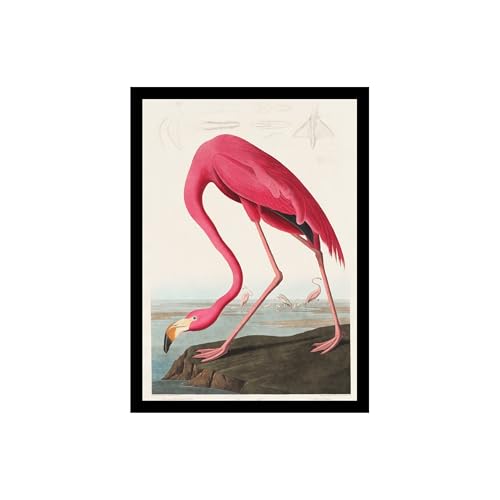 Image of BLINKART Trendy Abstract Wall Art Painting Print Design | Aesthetic Wall Decor Photo Artwork Frame Decoration Hanging For Home Bedroom Living Room Office Wall Decor | T0013 | 13x10 Inches