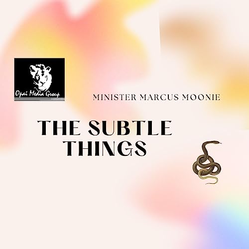 The Subtle Things Podcast Por  arte de portada