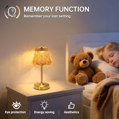 Shenmoyl Set of 2 Cordless Touch Table Lamp with 5200mAh Battery - 3 Adjustable Color Temperatures & Dimmable, Rechargeable Lamp for Bedsides, Living Room, Entryway, Bookshelves (Amber Rose) — view 6