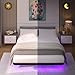 Meitewei King Floating Bed Frame with LED Lights, 10.6