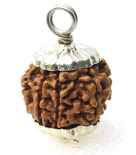 FOREVER Gems 7 Mukhi Rudraksha Nepal Original Certified Genuinely Rare Saatmukhi Rudraksha 7 Face Ruthratcham / 7 Faced Rudraksha Blessed Bead Saptmukhi Rudraksha for Men & Women सात मुखी रुद्राक्ष (B0CPVKNJSC) Amazon Price History, Amazon Price Tracker