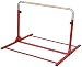 Tumbl Trak Junior Red Kip Bar