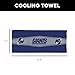 Northwest New York Giants NFL Fast Flow Mesh Cooling Towel 12 x 31.5 Inches
