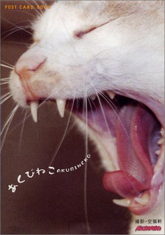 あくびねこ・ポストカード (新風舎文庫 POST CARD BOOK)