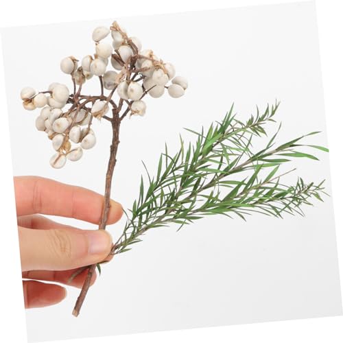 Flores secas para decoración y manualidades miniatura 5