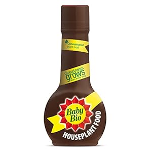 Baby Bio 5878844 Original House Plant Food, Concentrate