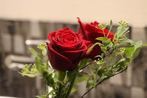 y{̕i|XgJ[hzȐʂɒuꂽԂỏԂ̊GtU͂nKLt