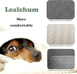 Lealchum Haustier-Autositz für große Hunde, weicher Stoff, Haustier-Reisebett-Füllung, Memory-Schaum, Zwei Sicherheitsleinen zum Anklippen, Autositz für Hunde (Black/Red, Large)