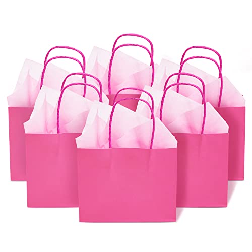 DjinnGlory 24 Pack Medium Size Teal Blue Paper Gift Bags with Handles 10x8x4 Inch and 24 Tissue Paper for Birthday Wedding Baby Bridal Shower Party Favors, Merchandise Shopping Bags