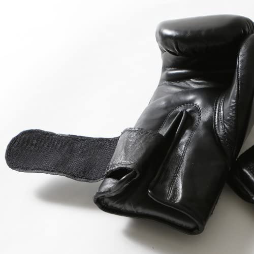 Amazon.co.jp: ISAMI イサミ スパーリンググローブ RS RS-002 14oz