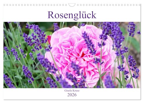 Rosenglück (Wandkalender 2026 DIN A3 quer), CALVENDO Monatskalender: Rosen schenken Glücksgefühle
