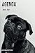 Produktbild Agenda 2020 2021 | Agenda Scolaire Journalier | Chien Bulldog Noir et Blanc | Format 15,24 x 22,86 cm: Cahier pour une année scolaire réussie