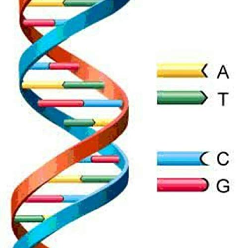 La Energ&iacute;a Sigue Al Pensamiento