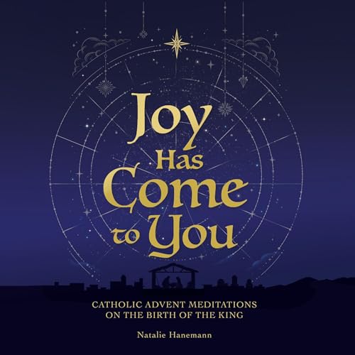Joy Has Come to You Audiolivro Por Natalie Hanemann capa