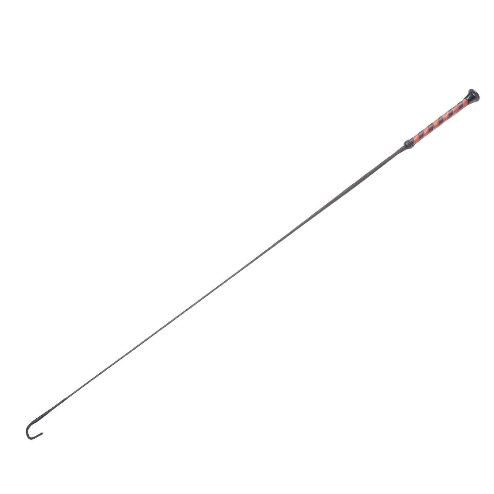 RiToEasysports Cravache en Fibre de Carbone, 110 Cm, Tête en Nylon tissé pour L'entraînement équestre