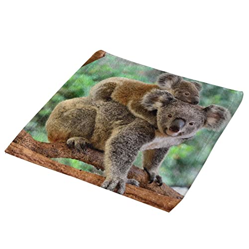 RA̐eq nh^I nJ` }CNt@Co[ ^I z  G y ϋv DG  Ȃ Lb`^I Ɩp^I GXe^I Lv K W  Xp 2Zbg