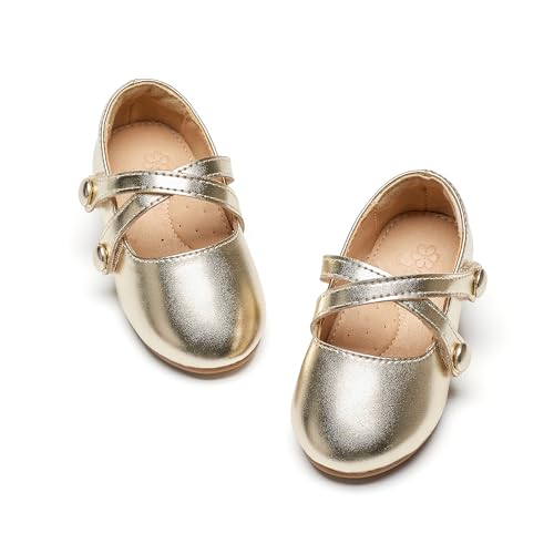 Flaryzone Toddler/Little Girls' Ballerina Flat Mary Jane Princess Dress Shoes - Wedding School Party