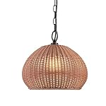 Outdoor Pendant Lights